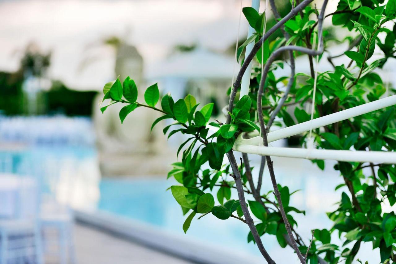 Villa La Fenice เรจโจ ดี คาลาเบีย ภายนอก รูปภาพ